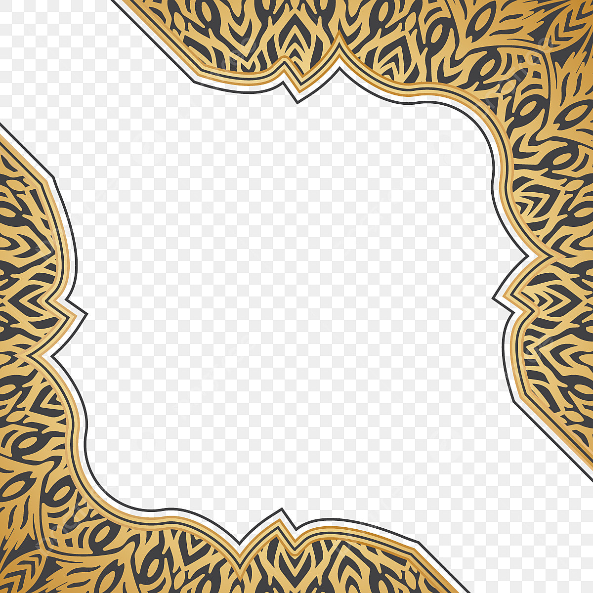 عن حبتين